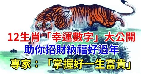 12生肖幸運數字|2022十二生肖開運必看！幸運色、幸運數字、吉利方。